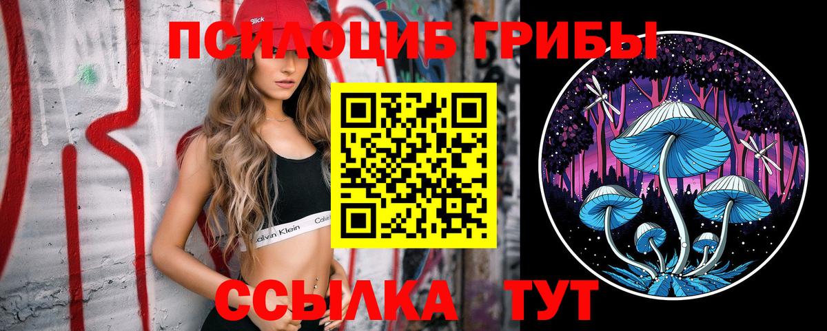 Соликамск  Псилоцибиновые грибы мицелий  Вход с VPN 
